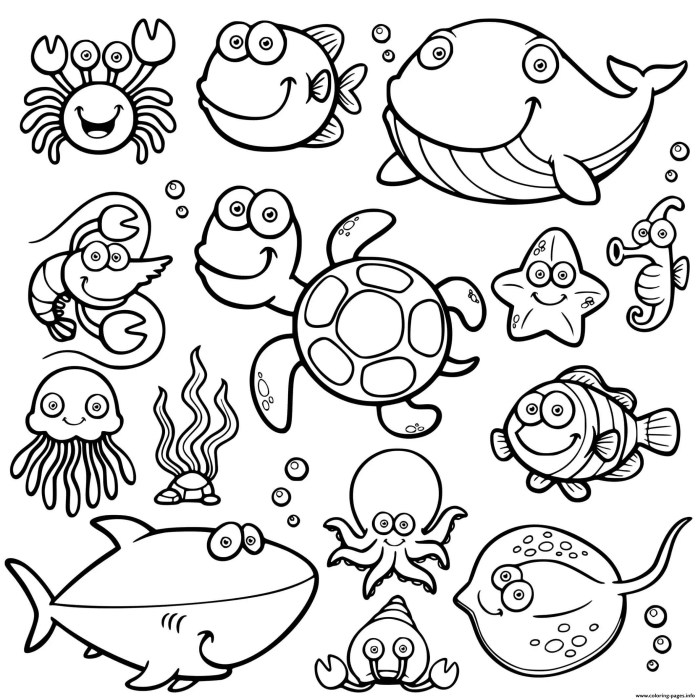 Ocean animals coloring book