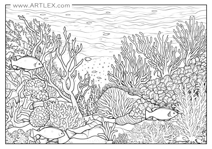 Free coloring pages ocean animals