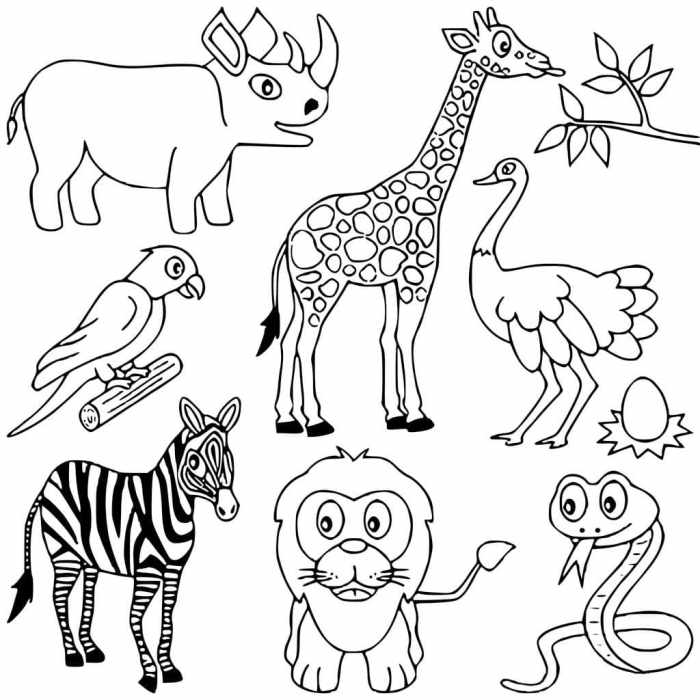 African animals coloring pages