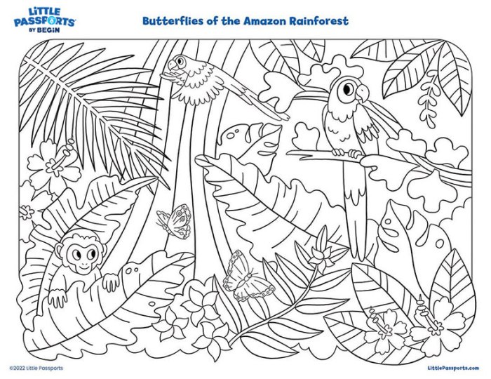 Amazon animals coloring pages