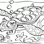 Sea animal coloring pages printable free