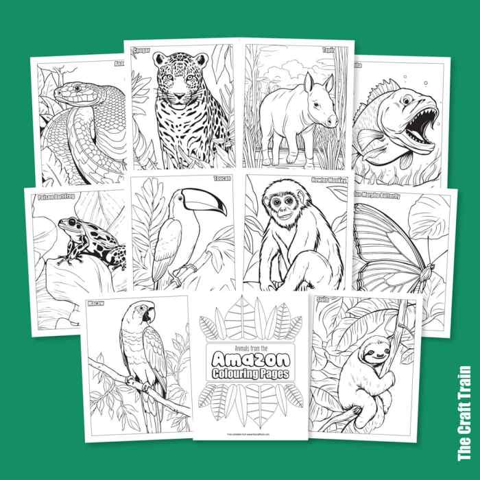 Coloring pages rainforest animals