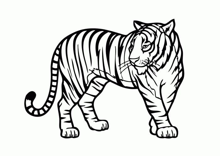 Animal safari coloring pages