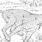 Realistic coloring pages of animals