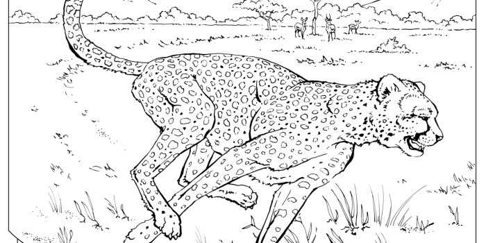 Realistic coloring pages of animals