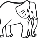 Simple animal coloring pages