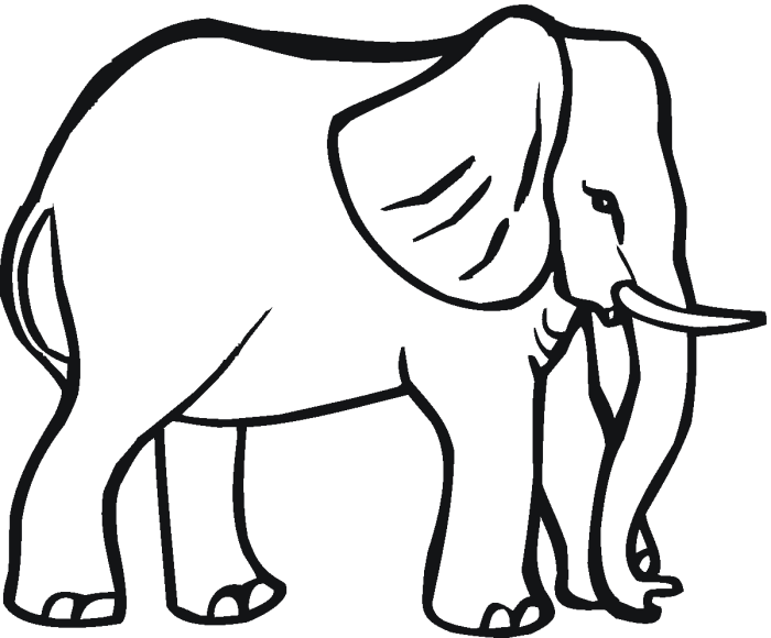 Simple animal coloring pages