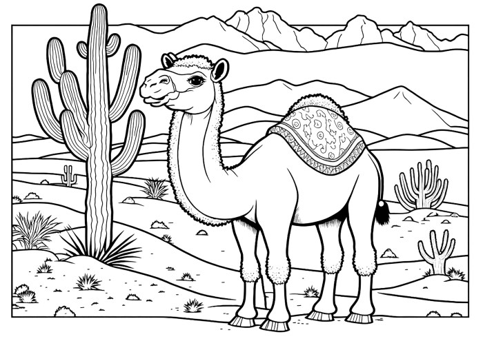 Desert animal coloring pages