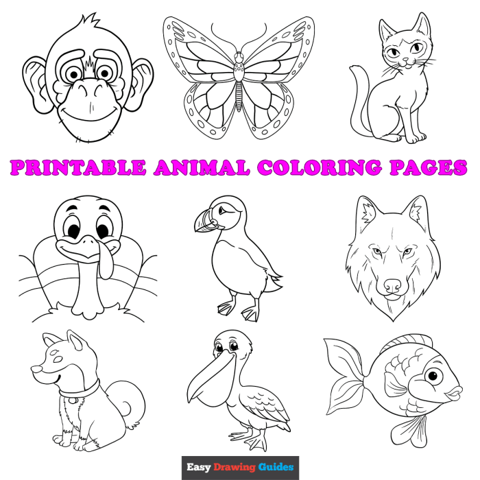 Print animal coloring pages