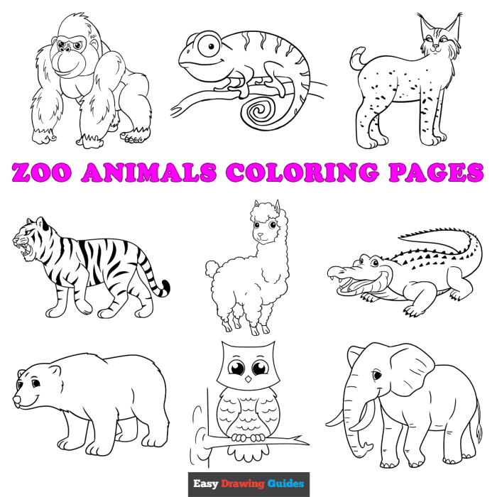 Animals at the zoo coloring pages