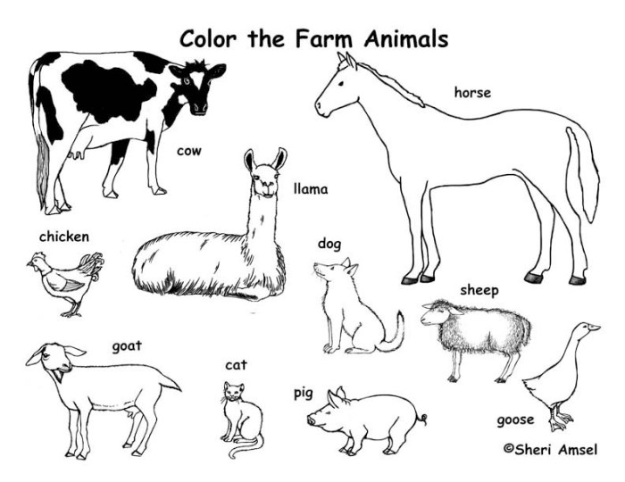 Free coloring pages of farm animals