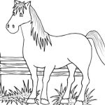 Free printable farm animal coloring pages