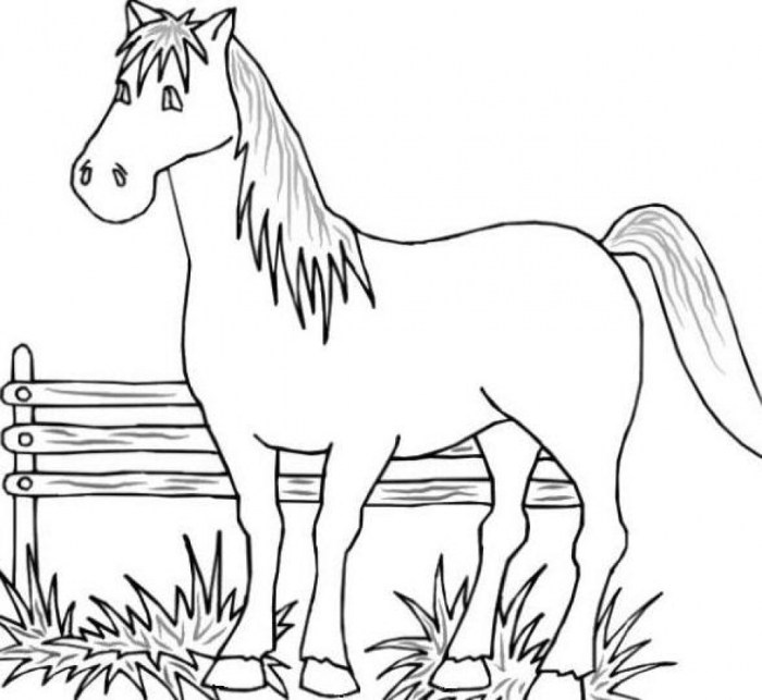 Free printable farm animal coloring pages