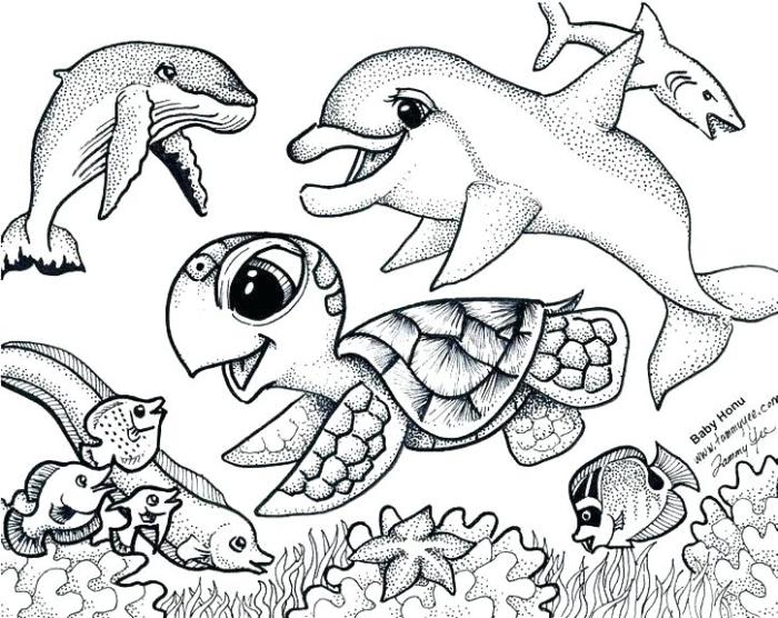 Ocean animals coloring book