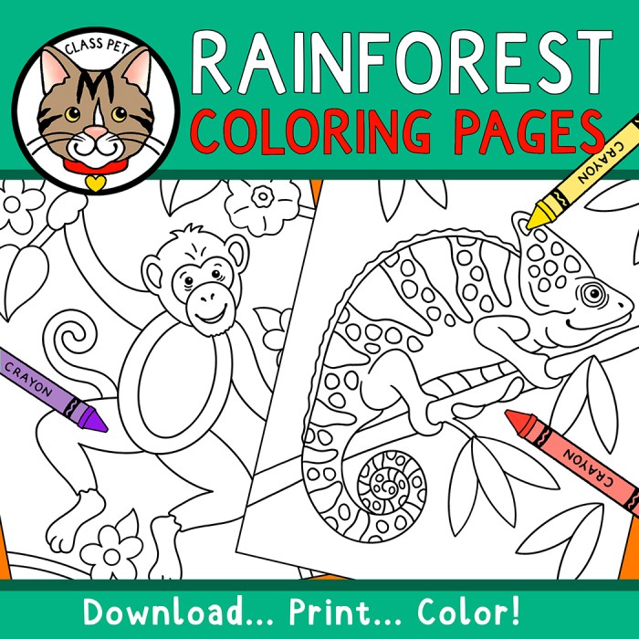 Coloring pages rainforest animals