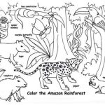 Coloring pictures of rainforest animals