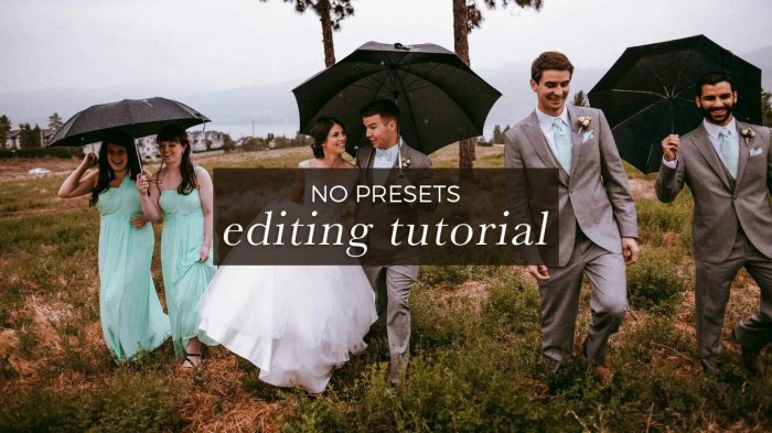 Elightroom editing wedding dress photos