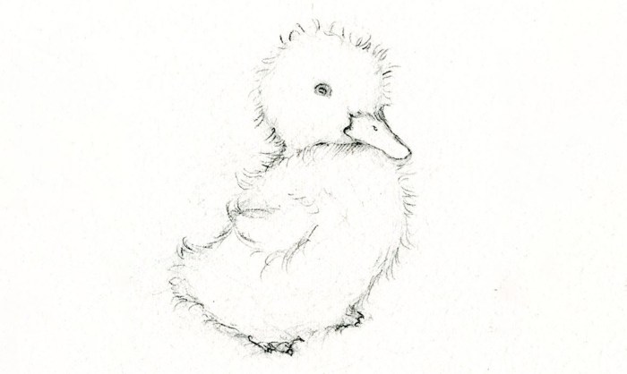 Cute duck drawing in wedding dress